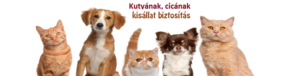Kisállat biztosítás ajánlat