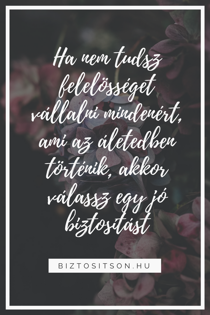 Ha nem tudsz felelősséget vállalni mindenért ami az életedben történik, akkor válassz egy jó biztosítást.