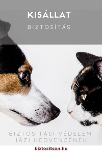 Kisállat biztosítás - kutya, macska biztosítás