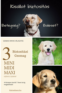 Kisállat biztosítás - kutyák, macskák biztosítás